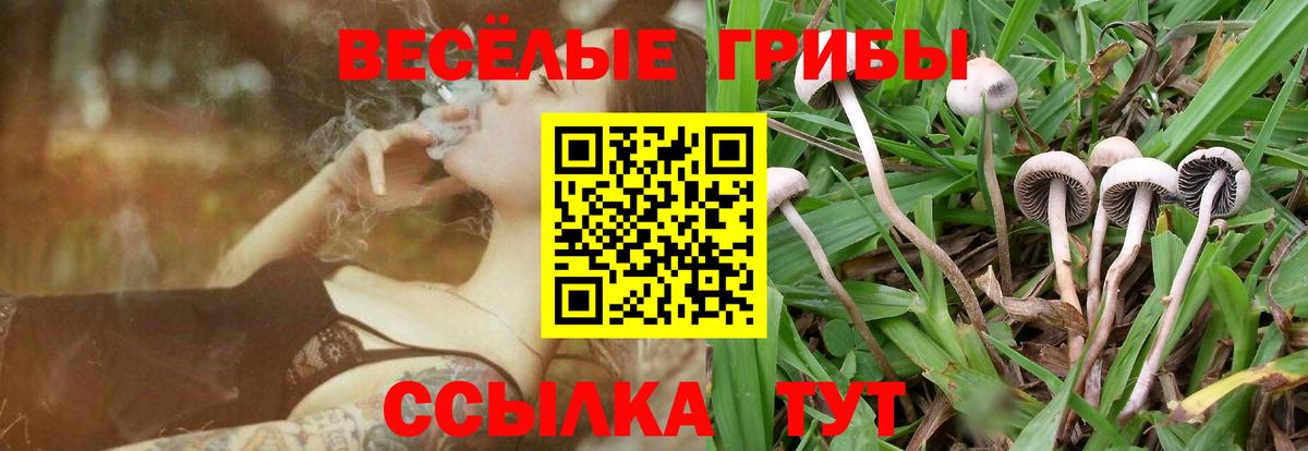 Джанкой  Галлюциногенные грибы GOLDEN TEACHER  Вход с VPN 